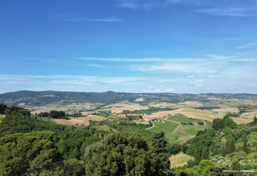 Tuscan countryside around Terricciola
